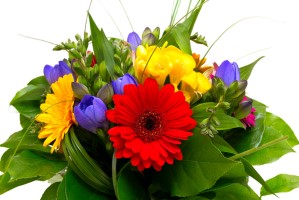 Fleuriste en ligne Québec